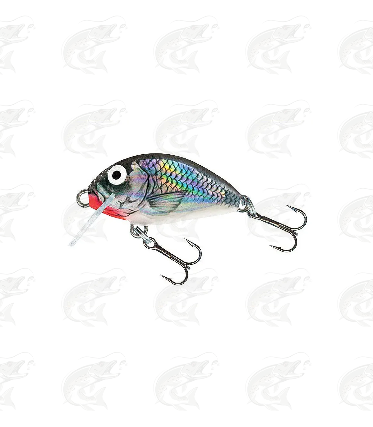 Salmo Tiny 1 Salmo Tiny
