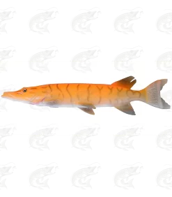 Savage Gear 3D Line-Thru Pike