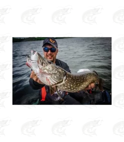 Savage Gear 3D Rad -Pro Fish Gear Shop savage gear 3d rad rat lure 8