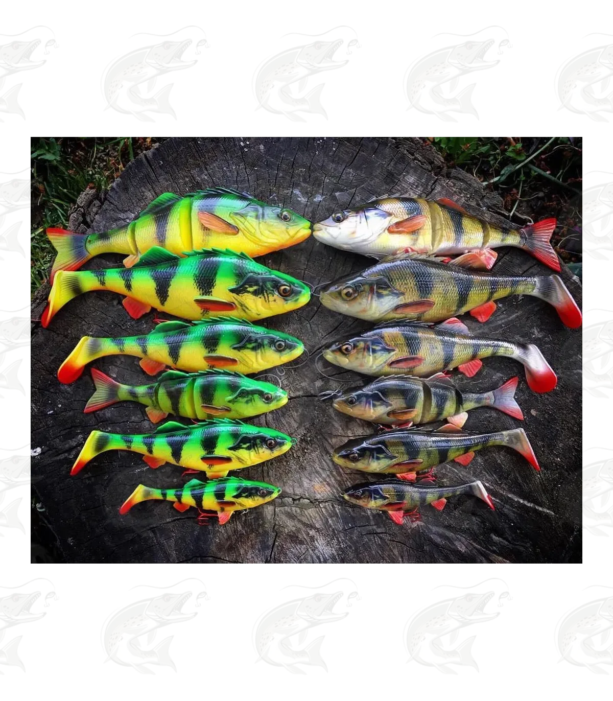 Savage Gear 4D Perch Shad 7 Savage Gear 4D Perch Shad - Image 7