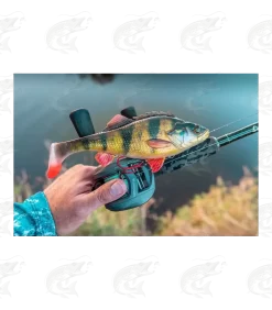 Savage Gear 4D Perch Shad 15 Savage Gear 4D Perch Shad -Pro Fish Gear Shop savage gear 4d perch shad 7