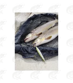 Savage Gear Seeker ISP 17 Savage Gear Seeker ISP -Pro Fish Gear Shop savage gear seeker isp seatrout lure 7