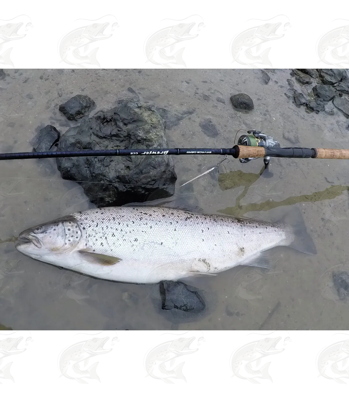 Savage Gear Seeker ISP 9 Savage Gear Seeker ISP - Image 9