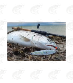 Savage Gear Seeker ISP 19 Savage Gear Seeker ISP -Pro Fish Gear Shop savage gear seeker isp seatrout lure 9