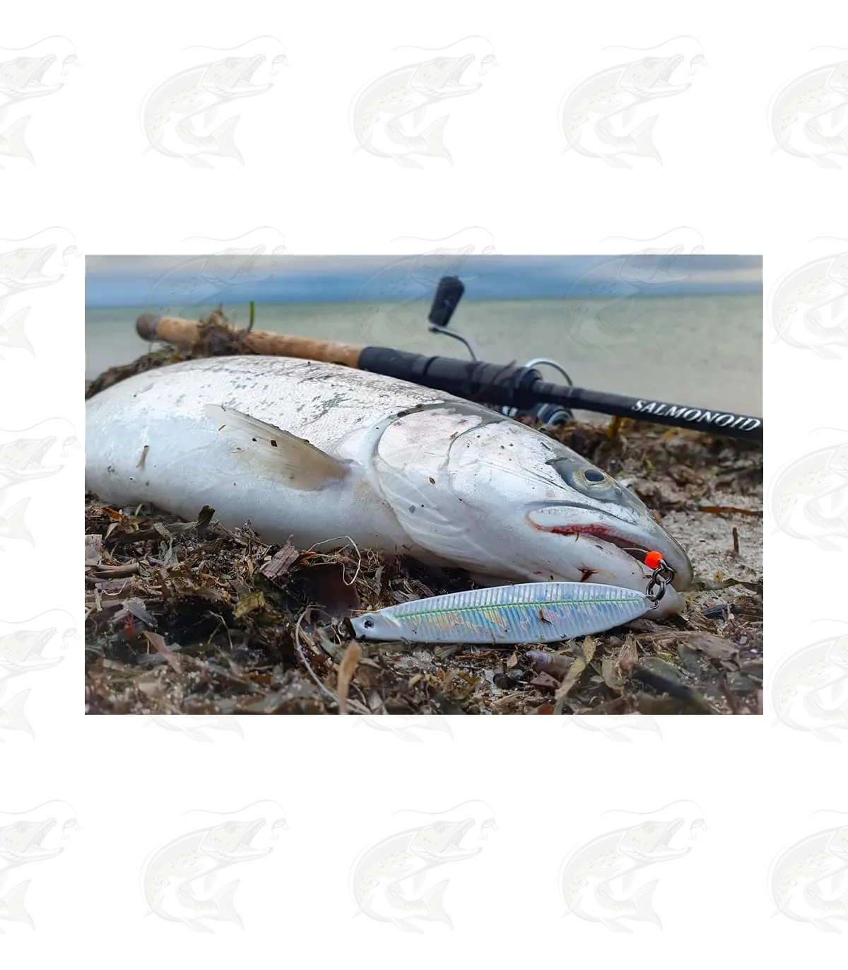 Savage Gear Seeker ISP 10 Savage Gear Seeker ISP - Image 10