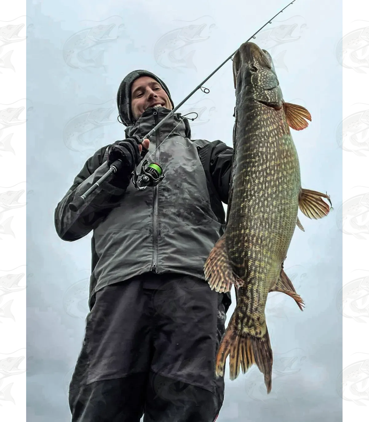 Shimano Vanford 4 Shimano Vanford - Image 4