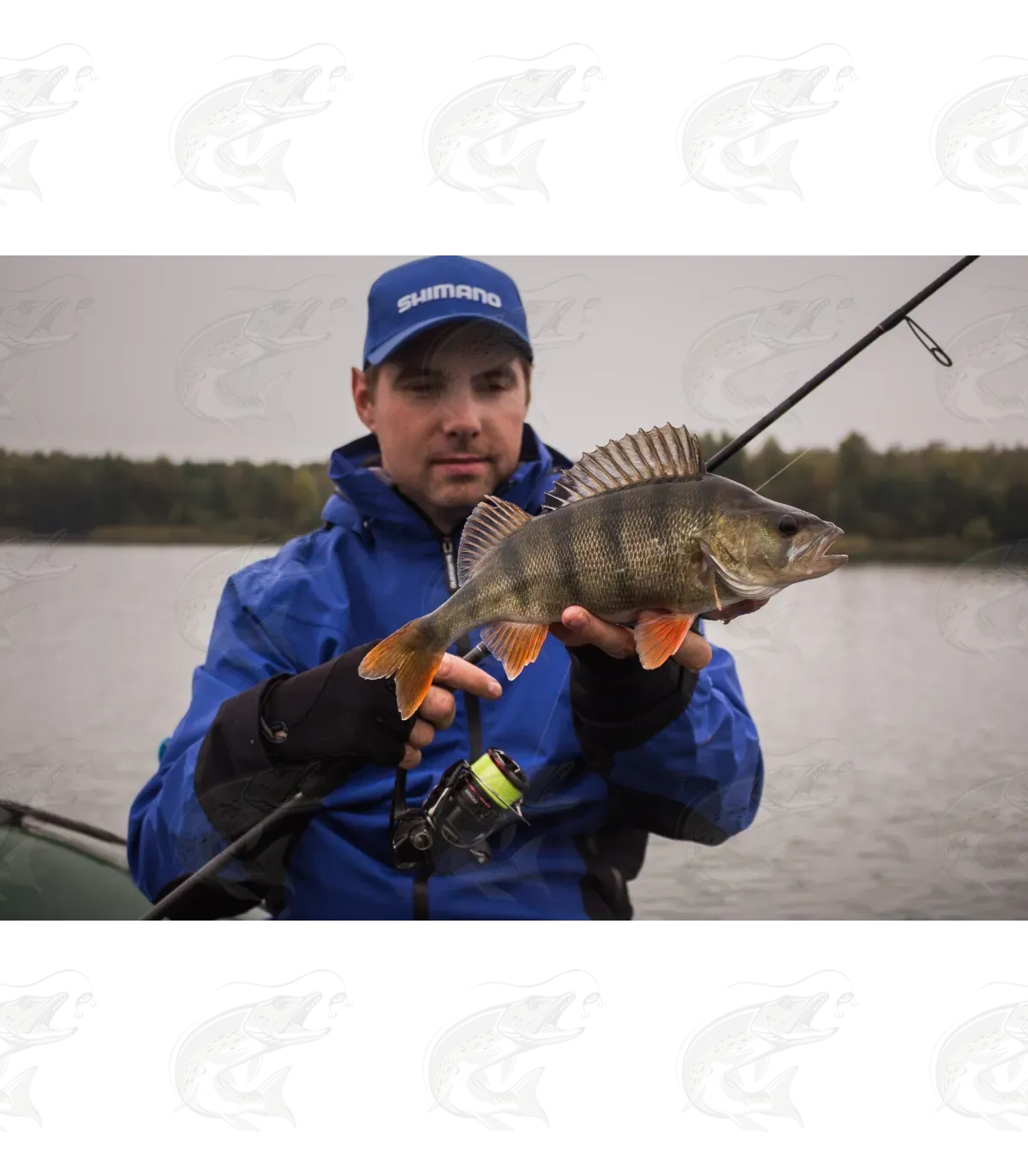 Shimano Vanford 6 Shimano Vanford - Image 6