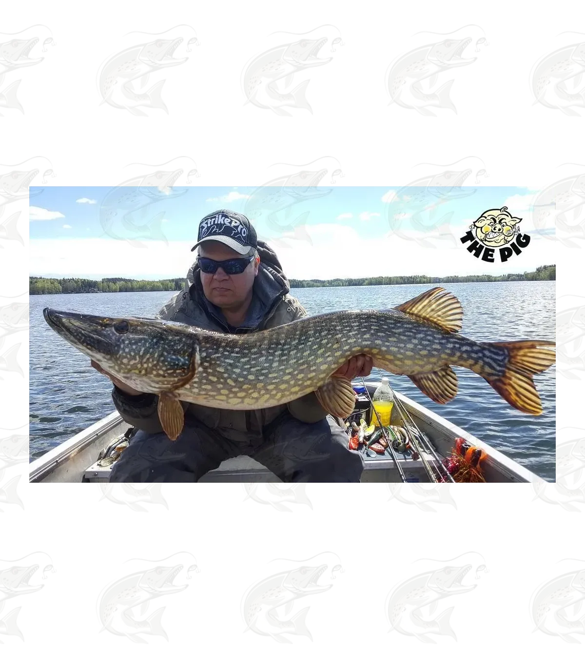 Strike Pro Pig Shad Nano 17 Strike Pro Pig Shad Nano - Image 17