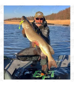 Strike Pro Pig Shad Nano 38 Strike Pro Pig Shad Nano -Pro Fish Gear Shop strike pro pig shad nano 18