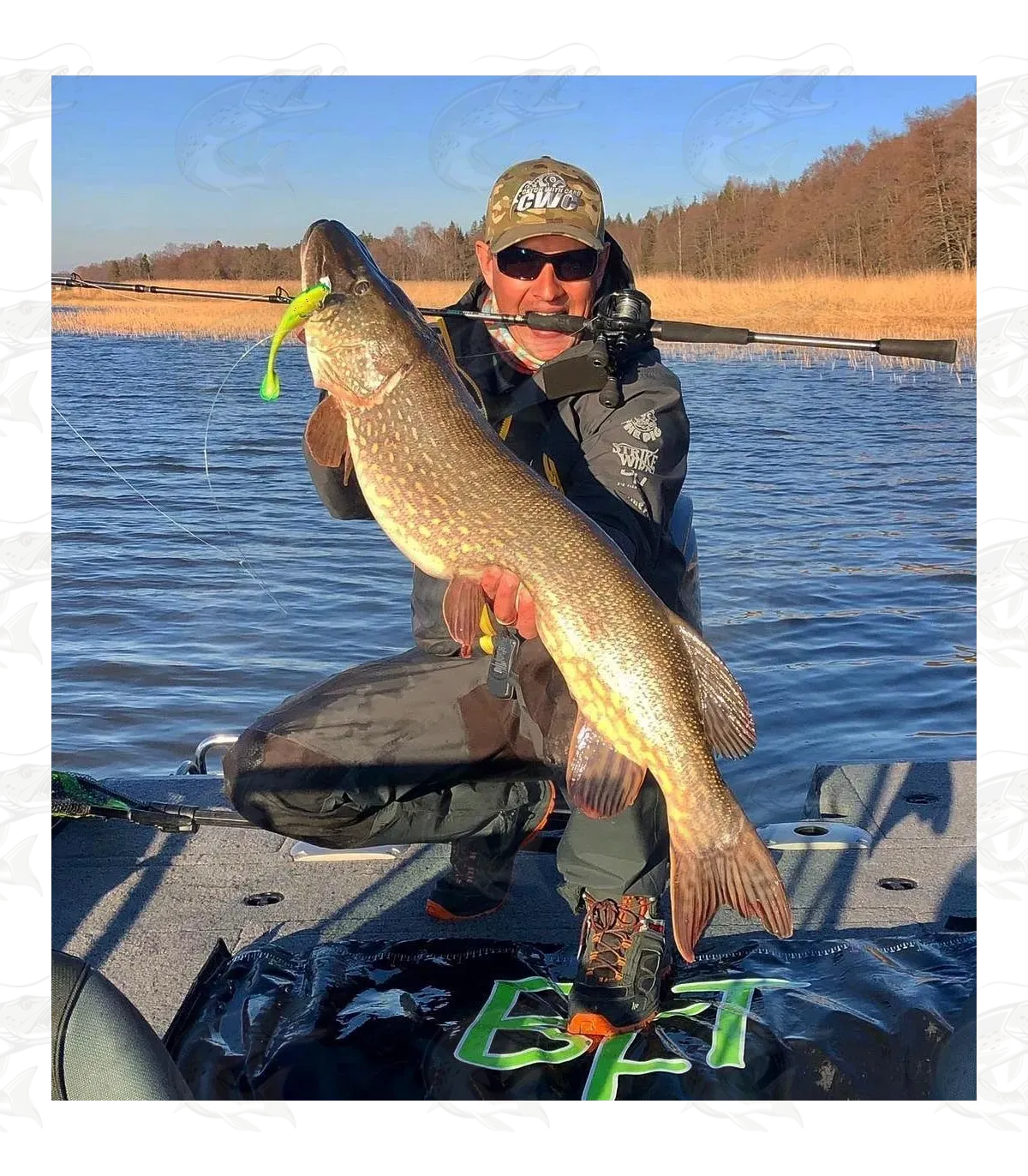 Strike Pro Pig Shad Nano 19 Strike Pro Pig Shad Nano - Image 19