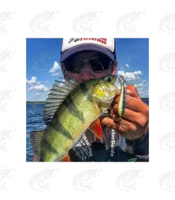 Strike Pro Tornado Vibe -Pro Fish Gear Shop strike pro tornado vibe 17