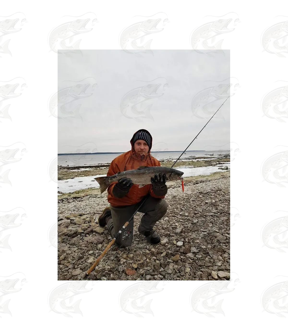 T.Lures "Sandeel" 15 T.Lures "Sandeel" - Image 15