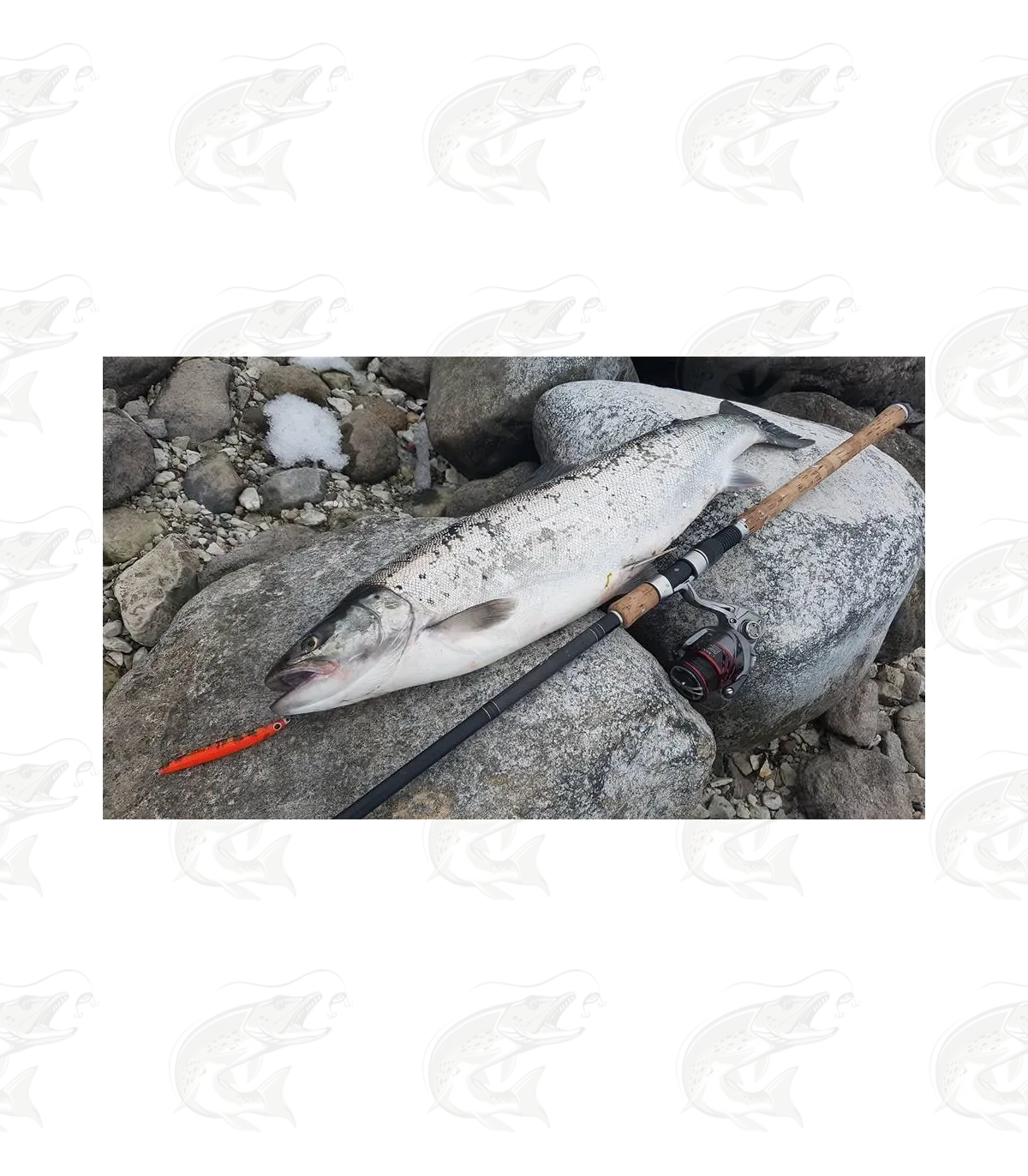 T.Lures "Sandeel" 16 T.Lures "Sandeel" - Image 16