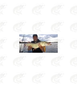 Viirastus Odin Handmade Spoons For Pike 22 Viirastus Odin Handmade Spoons For Pike -Pro Fish Gear Shop viirastus odin handmade spoons for pike 10