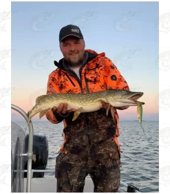 Viirastus Odin Handmade Spoons For Pike 18 Viirastus Odin Handmade Spoons For Pike -Pro Fish Gear Shop viirastus odin handmade spoons for pike 6