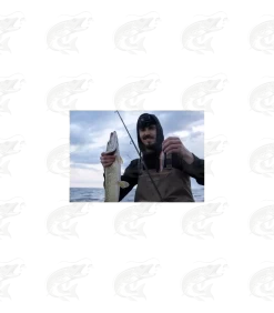 Viirastus Odin Handmade Spoons For Pike 19 Viirastus Odin Handmade Spoons For Pike -Pro Fish Gear Shop viirastus odin handmade spoons for pike 7