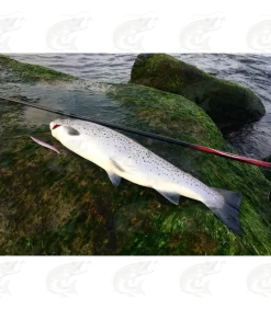 Viirastus Python Handmade Spoons For Sea Trout 18 Viirastus Python Handmade Spoons For Sea Trout -Pro Fish Gear Shop viirastus python handmade spoons for sea trout 8