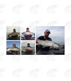 Westin Goby -Pro Fish Gear Shop westin goby sea trout spoon 13