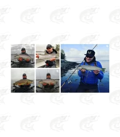 Westin Seatrout -Pro Fish Gear Shop westin seatrout spoon 11