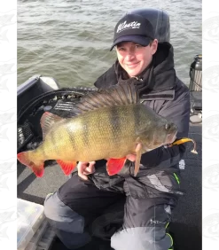 Westin ShadTeez Slim -Pro Fish Gear Shop westin shadteez slim softbait 12