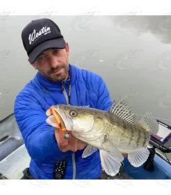 Westin ShadTeez Slim -Pro Fish Gear Shop westin shadteez slim softbait 14