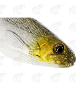 Westin ShadTeez -Pro Fish Gear Shop westin shadteez soft bait 12