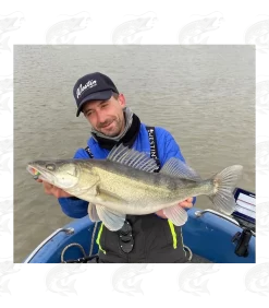 Westin ShadTeez -Pro Fish Gear Shop westin shadteez soft bait 14