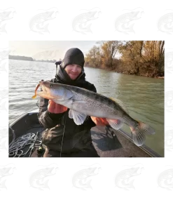 Westin ShadTeez -Pro Fish Gear Shop westin shadteez soft bait 15