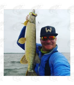 Westin ShadTeez -Pro Fish Gear Shop westin shadteez soft bait 17